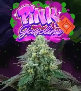 Pink Gasoline > Perfect Tree